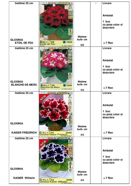  - OFERTA PRIMAVARA -VARA 2020