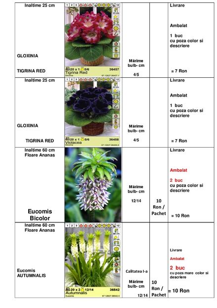  - OFERTA PRIMAVARA -VARA 2020