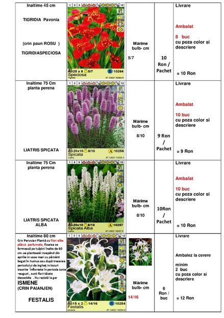  - OFERTA PRIMAVARA -VARA 2020