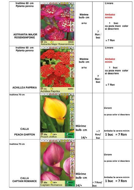  - OFERTA PRIMAVARA -VARA 2020