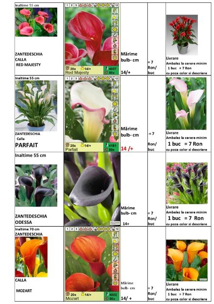  - OFERTA PRIMAVARA -VARA 2020