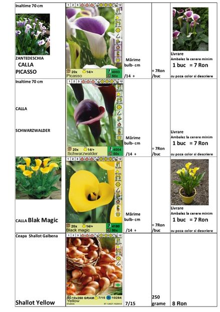  - OFERTA PRIMAVARA -VARA 2020