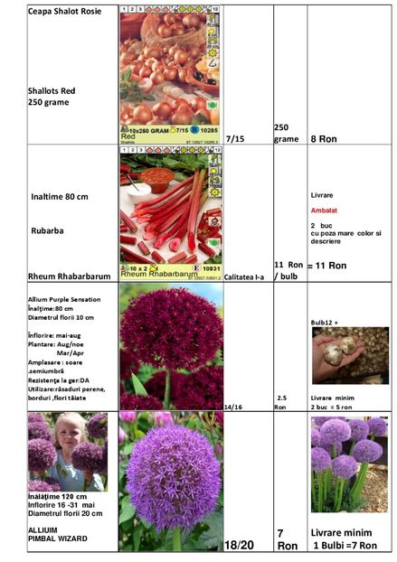  - OFERTA PRIMAVARA -VARA 2020