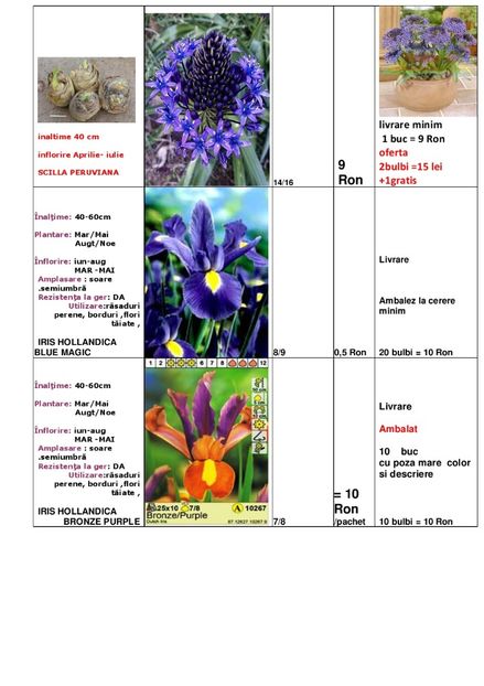  - OFERTA PRIMAVARA -VARA 2020