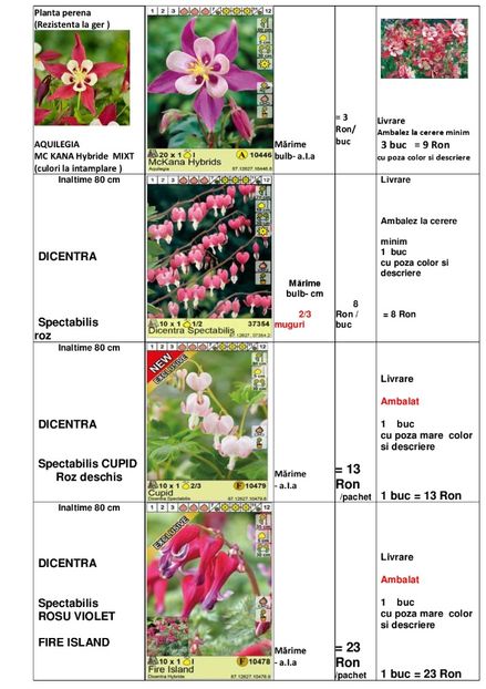  - OFERTA PRIMAVARA -VARA 2020