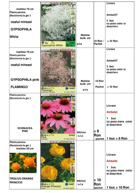  - OFERTA PRIMAVARA -VARA 2020