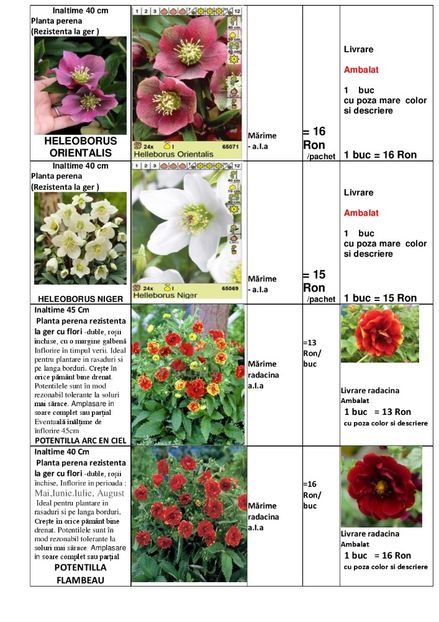  - OFERTA PRIMAVARA -VARA 2020