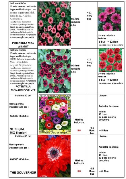  - OFERTA PRIMAVARA -VARA 2020