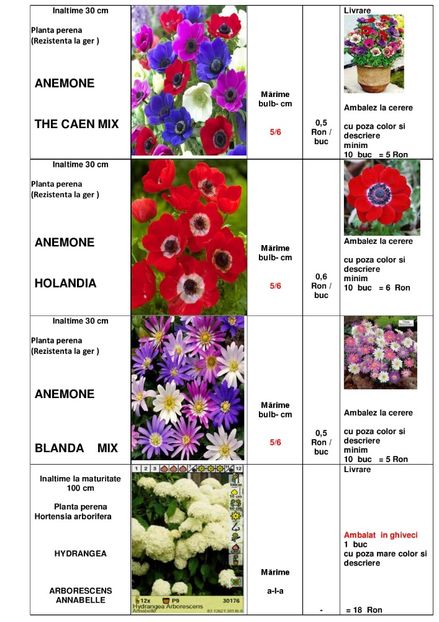  - OFERTA PRIMAVARA -VARA 2020