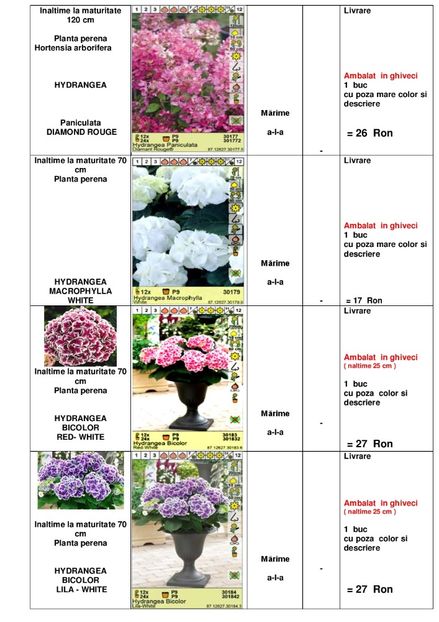  - OFERTA PRIMAVARA -VARA 2020