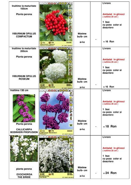  - OFERTA PRIMAVARA -VARA 2020