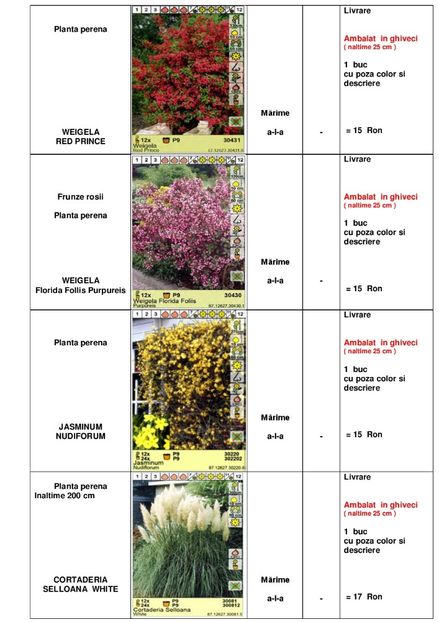  - OFERTA PRIMAVARA -VARA 2020