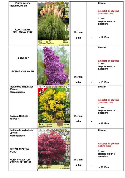  - OFERTA PRIMAVARA -VARA 2020