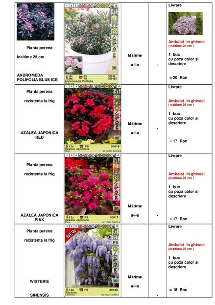  - OFERTA PRIMAVARA -VARA 2020