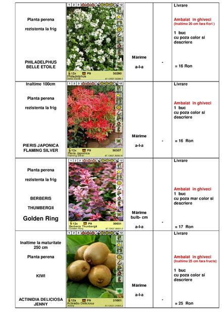  - OFERTA PRIMAVARA -VARA 2020