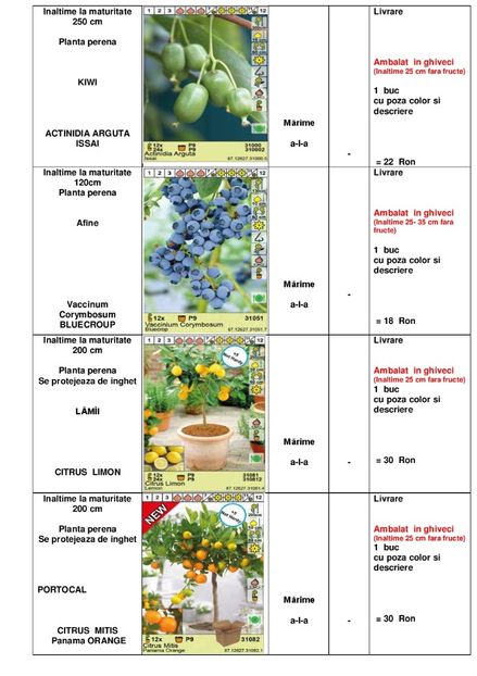  - OFERTA PRIMAVARA -VARA 2020