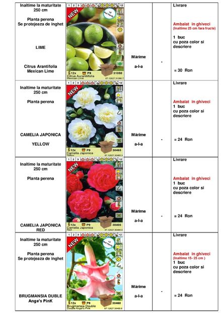  - OFERTA PRIMAVARA -VARA 2020