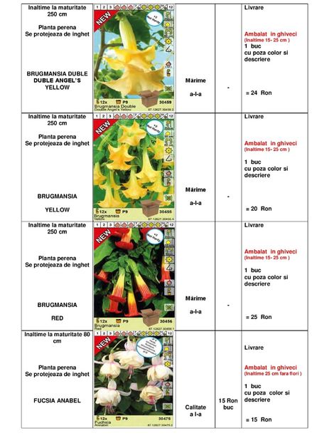  - OFERTA PRIMAVARA -VARA 2020