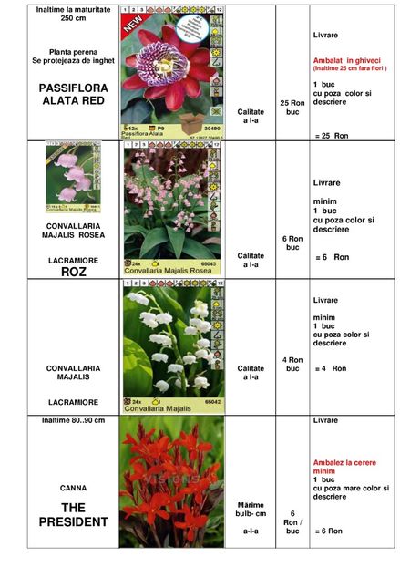  - OFERTA PRIMAVARA -VARA 2020