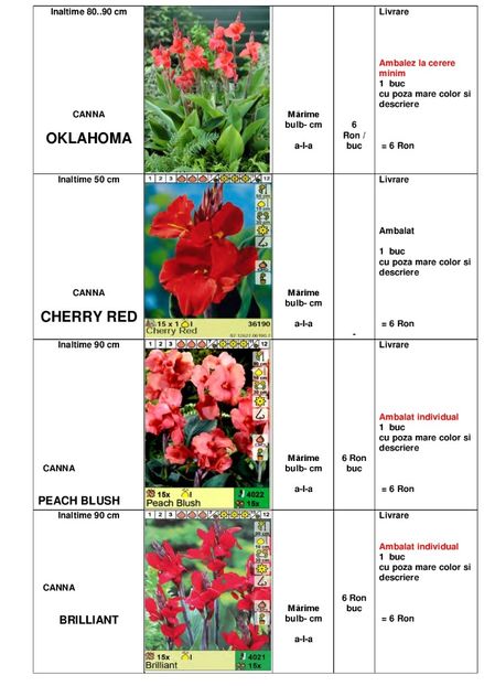  - OFERTA PRIMAVARA -VARA 2020