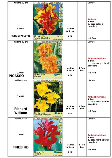  - OFERTA PRIMAVARA -VARA 2020