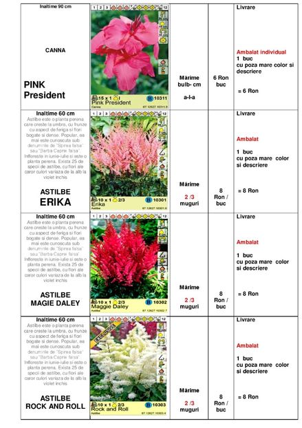  - OFERTA PRIMAVARA -VARA 2020