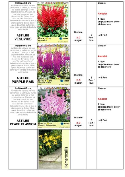  - OFERTA PRIMAVARA -VARA 2020