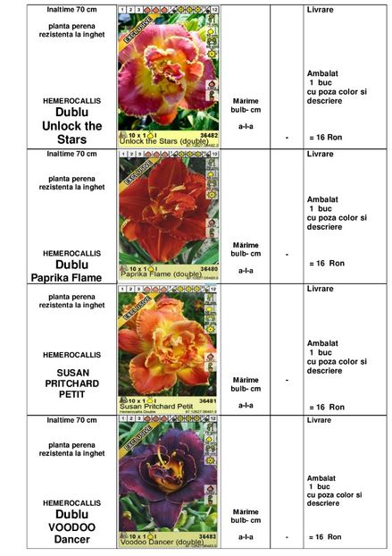  - OFERTA PRIMAVARA -VARA 2020