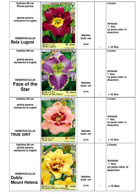  - OFERTA PRIMAVARA -VARA 2020