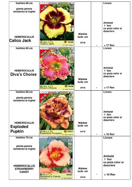  - OFERTA PRIMAVARA -VARA 2020