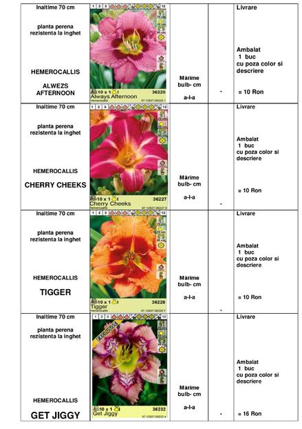  - OFERTA PRIMAVARA -VARA 2020