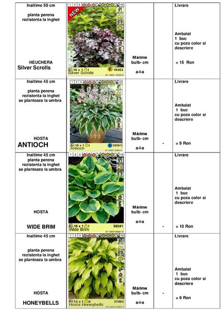  - OFERTA PRIMAVARA -VARA 2020