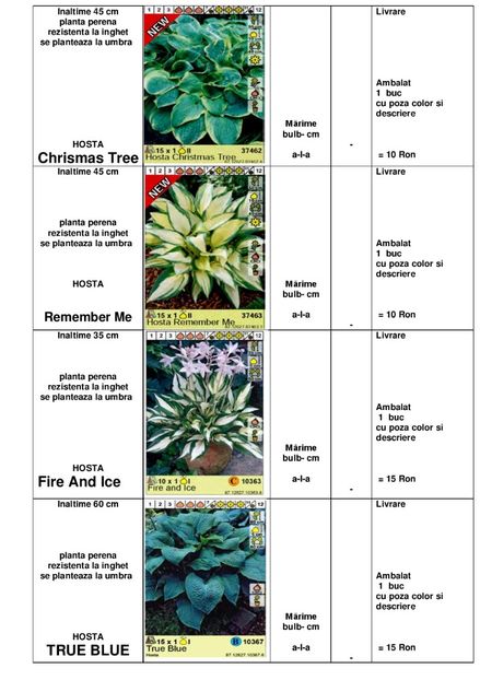  - OFERTA PRIMAVARA -VARA 2020