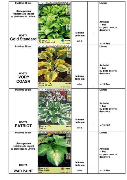  - OFERTA PRIMAVARA -VARA 2020