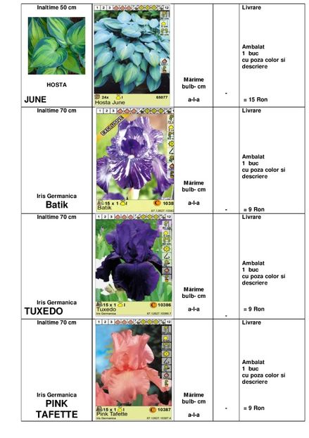  - OFERTA PRIMAVARA -VARA 2020