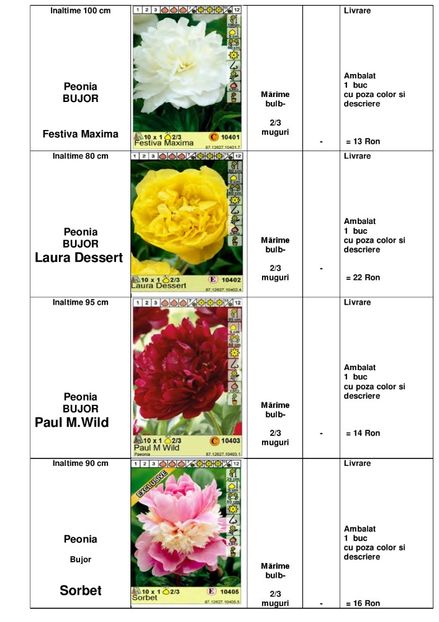  - OFERTA PRIMAVARA -VARA 2020