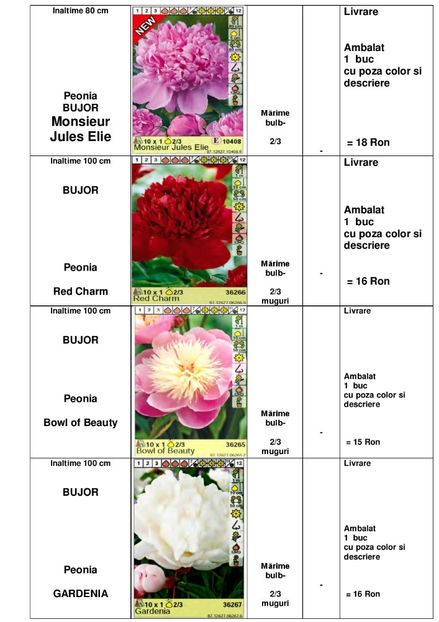  - OFERTA PRIMAVARA -VARA 2020