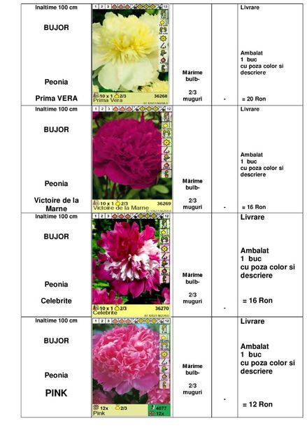  - OFERTA PRIMAVARA -VARA 2020