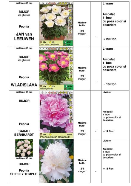  - OFERTA PRIMAVARA -VARA 2020