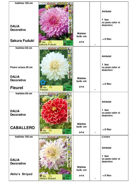  - OFERTA PRIMAVARA -VARA 2020