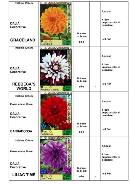  - OFERTA PRIMAVARA -VARA 2020