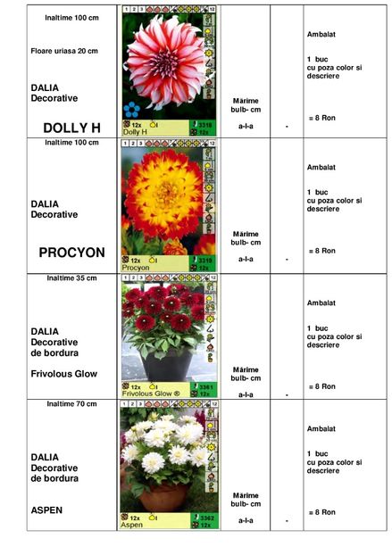  - OFERTA PRIMAVARA -VARA 2020