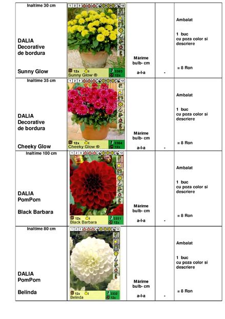  - OFERTA PRIMAVARA -VARA 2020