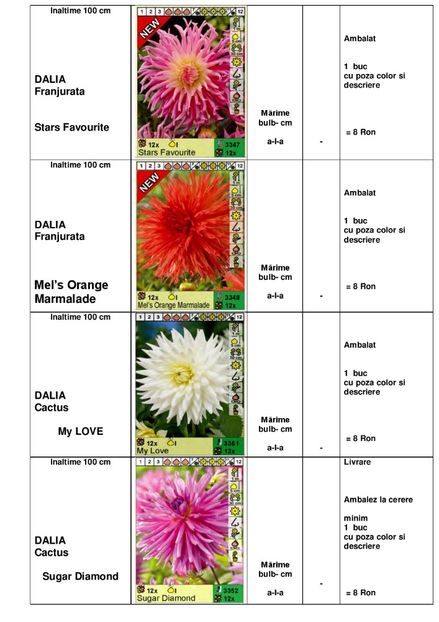  - OFERTA PRIMAVARA -VARA 2020