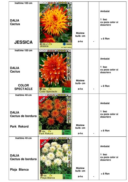  - OFERTA PRIMAVARA -VARA 2020