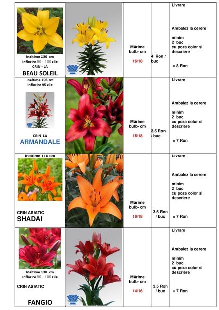  - OFERTA PRIMAVARA -VARA 2020