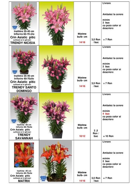  - OFERTA PRIMAVARA -VARA 2020