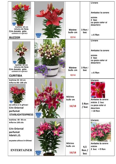  - OFERTA PRIMAVARA -VARA 2020