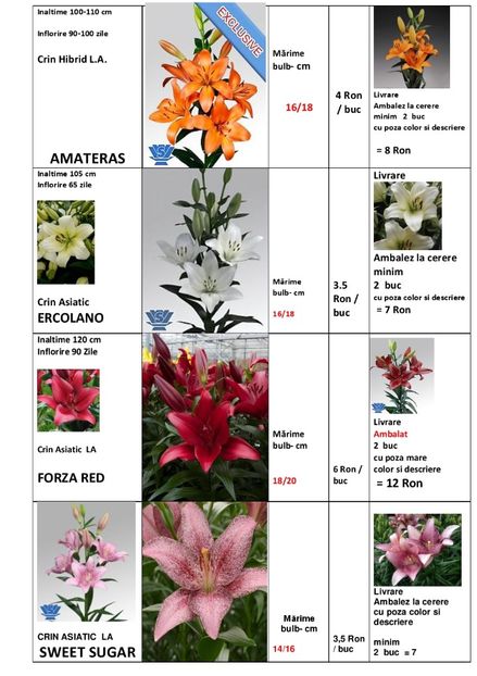  - OFERTA PRIMAVARA -VARA 2020