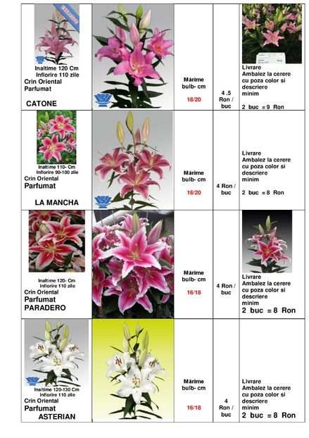  - OFERTA PRIMAVARA -VARA 2020